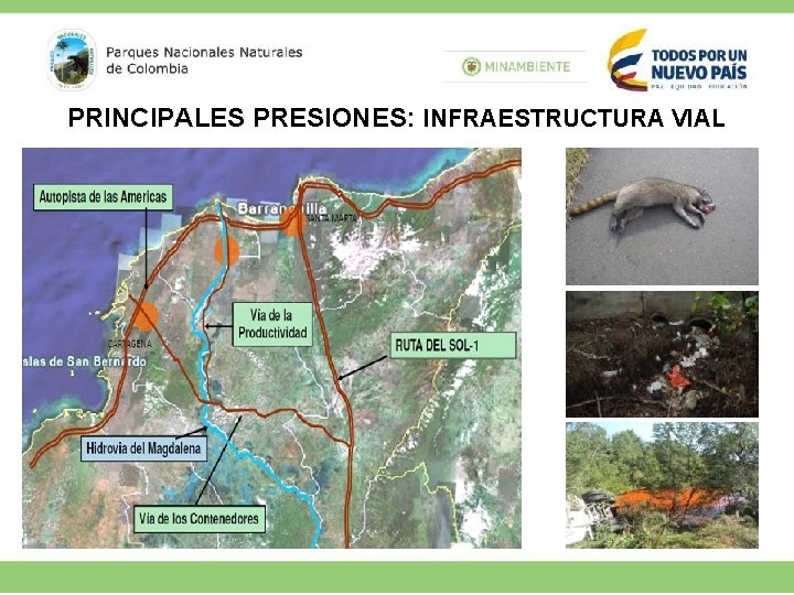 PRINCIPALES PRESIONES: INFRAESTRUCTURA VIAL 