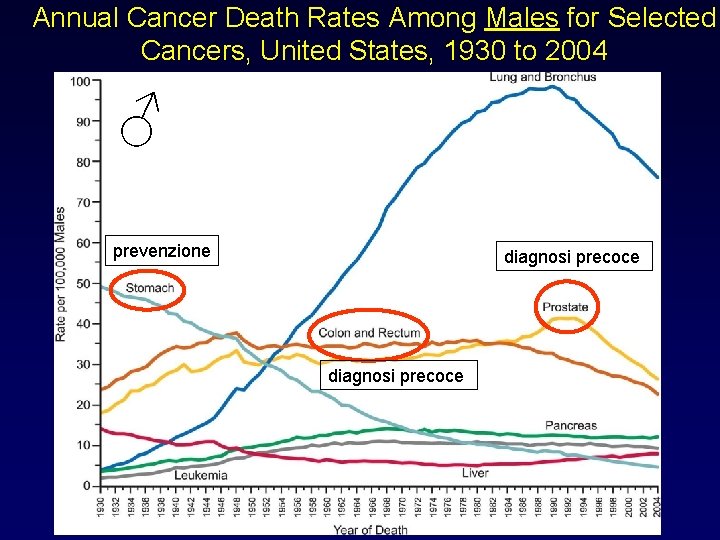 Annual Cancer Death Rates Among Males for Selected Cancers, United States, 1930 to 2004