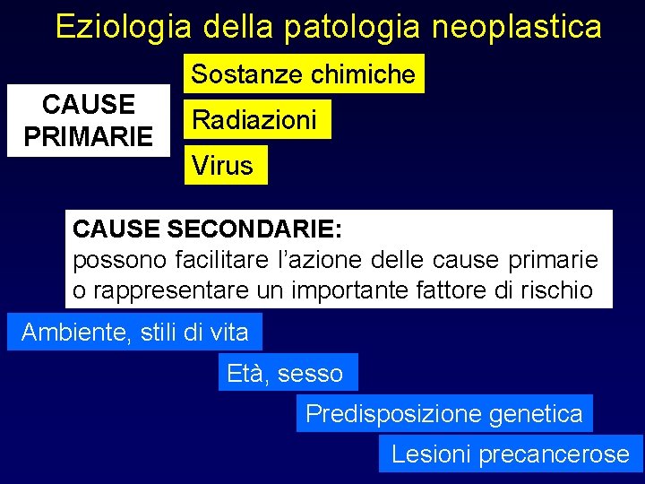 Eziologia della patologia neoplastica Sostanze chimiche CAUSE PRIMARIE Radiazioni Virus CAUSE SECONDARIE: possono facilitare