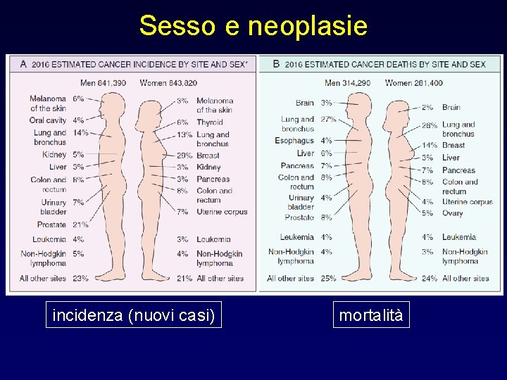 Sesso e neoplasie incidenza (nuovi casi) mortalità 