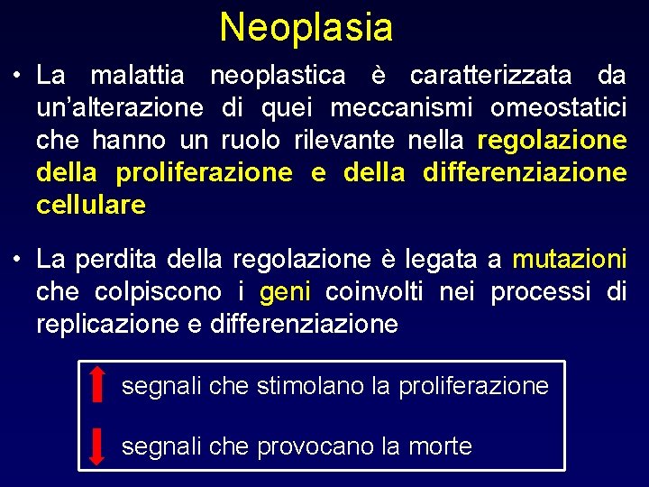 Neoplasia • La malattia neoplastica è caratterizzata da un’alterazione di quei meccanismi omeostatici che