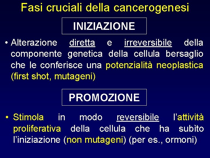 Fasi cruciali della cancerogenesi INIZIAZIONE • Alterazione diretta e irreversibile della componente genetica della