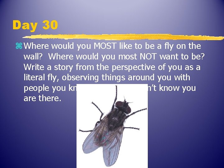 Day 30 z Where would you MOST like to be a fly on the