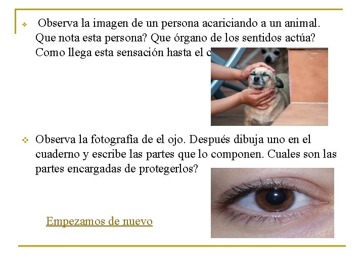v v Observa la imagen de un persona acariciando a un animal. Que nota