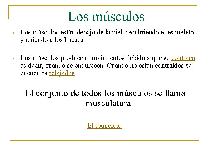 Los músculos • Los músculos están debajo de la piel, recubriendo el esqueleto y