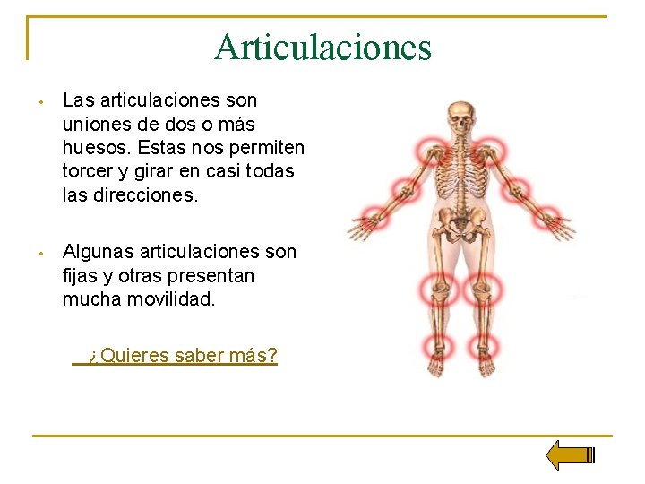 Articulaciones • Las articulaciones son uniones de dos o más huesos. Estas nos permiten