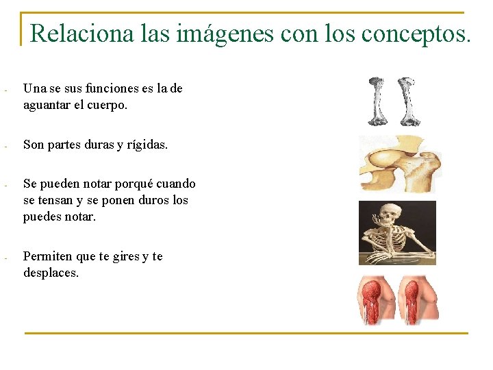 Relaciona las imágenes con los conceptos. - Una se sus funciones es la de