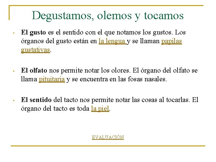 Degustamos, olemos y tocamos • El gusto es el sentido con el que notamos