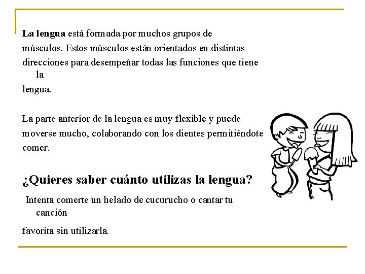 La lengua está formada por muchos grupos de músculos. Estos músculos están orientados en