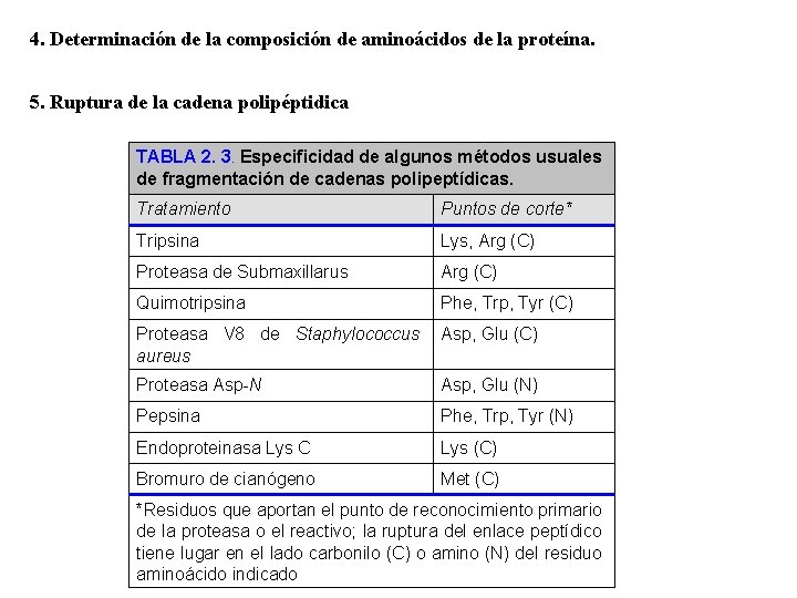 4. Determinación de la composición de aminoácidos de la proteína. 5. Ruptura de la