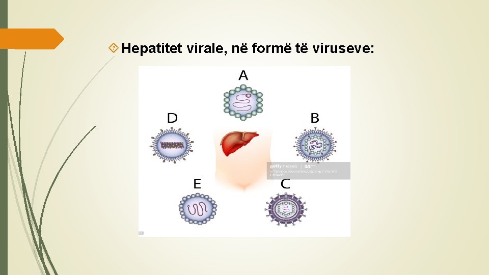  Hepatitet virale, në formë të viruseve: 