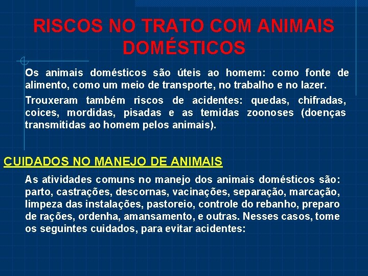 RISCOS NO TRATO COM ANIMAIS DOMÉSTICOS Os animais domésticos são úteis ao homem: como