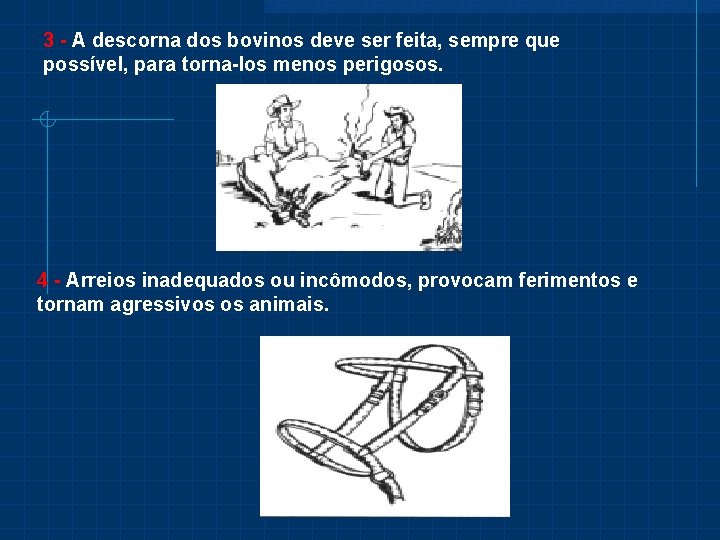 3 - A descorna dos bovinos deve ser feita, sempre que possível, para torna-los