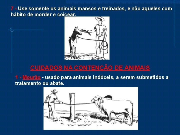 7 - Use somente os animais mansos e treinados, e não aqueles com hábito