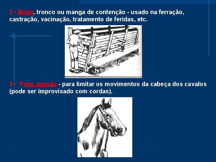 2 - Brete, tronco ou manga de contenção - usado na ferração, castração, vacinação,