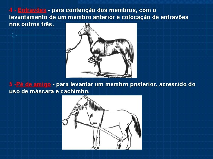 4 - Entravões - para contenção dos membros, com o levantamento de um membro