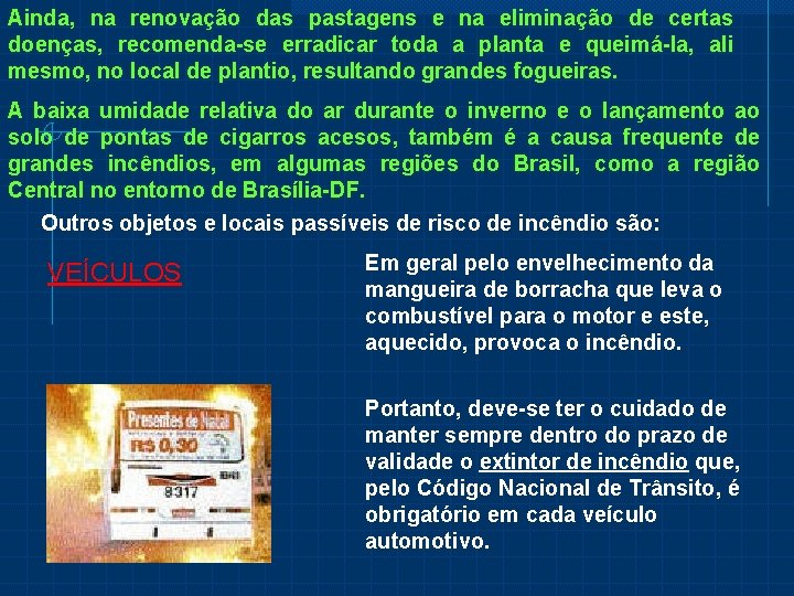 Ainda, na renovação das pastagens e na eliminação de certas doenças, recomenda-se erradicar toda