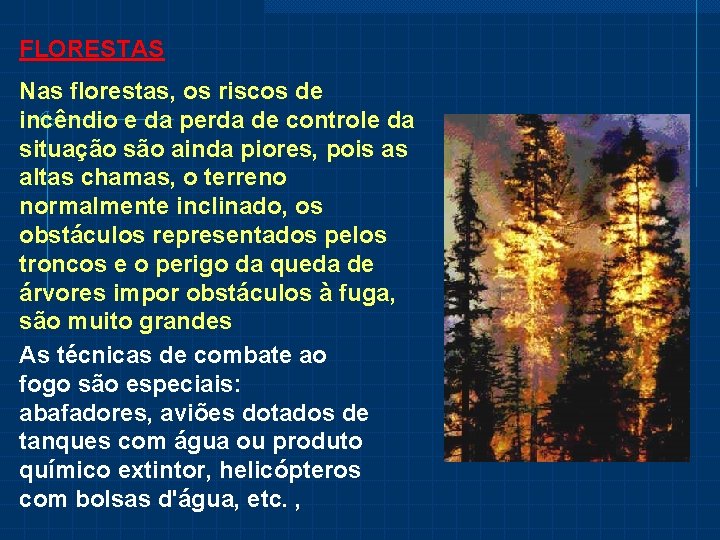 FLORESTAS Nas florestas, os riscos de incêndio e da perda de controle da situação