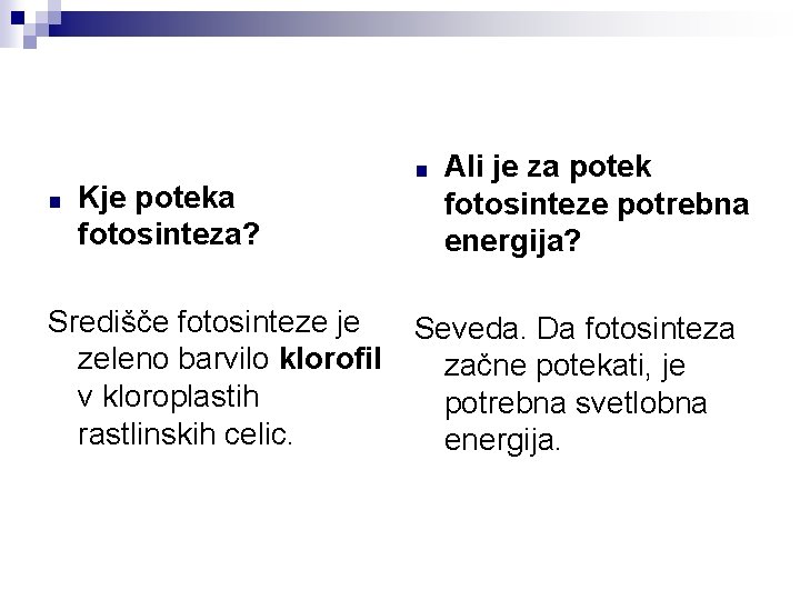 ■ Kje poteka fotosinteza? Središče fotosinteze je zeleno barvilo klorofil v kloroplastih rastlinskih celic.