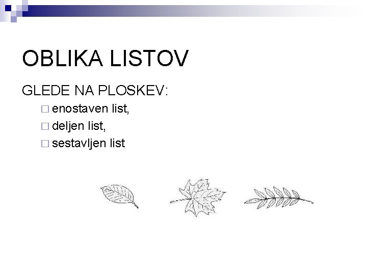 OBLIKA LISTOV GLEDE NA PLOSKEV: � enostaven � deljen list, � sestavljen list 