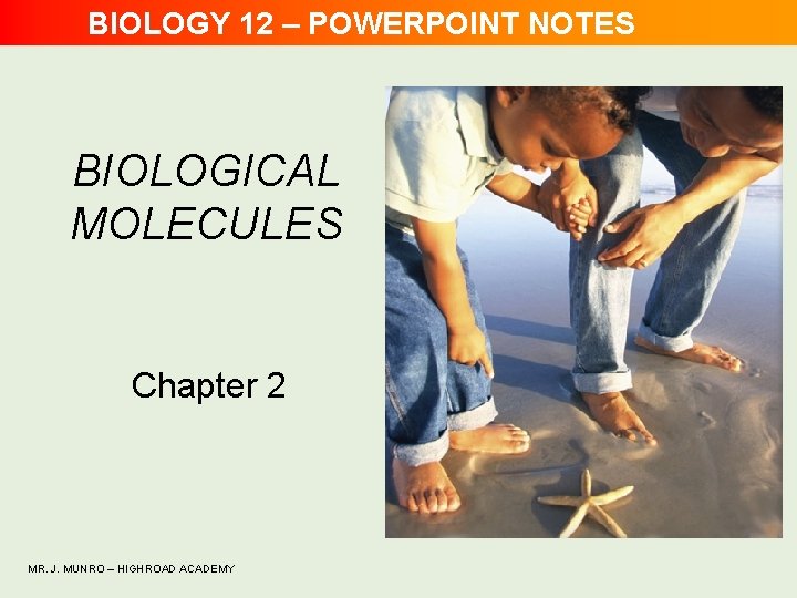 BIOLOGY 12 – POWERPOINT NOTES BIOLOGICAL MOLECULES Chapter 2 MR. J. MUNRO – HIGHROAD