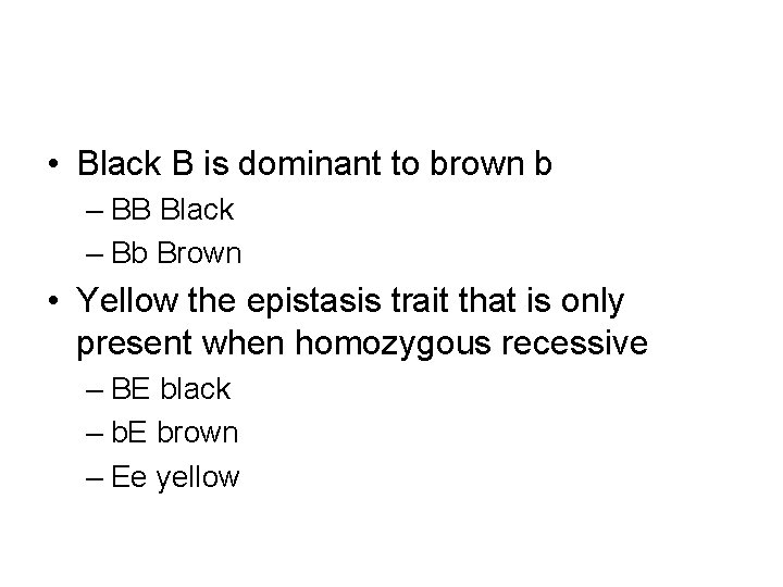  • Black B is dominant to brown b – BB Black – Bb