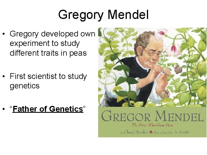 Gregory Mendel • Gregory developed own experiment to study different traits in peas •