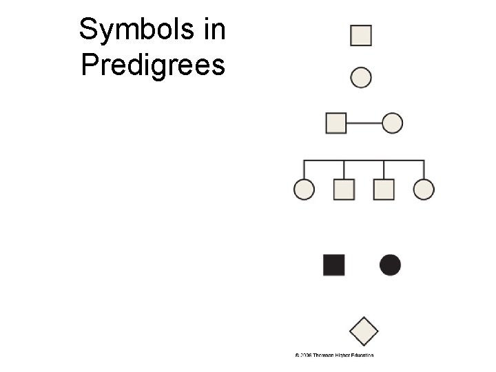 Symbols in Predigrees 