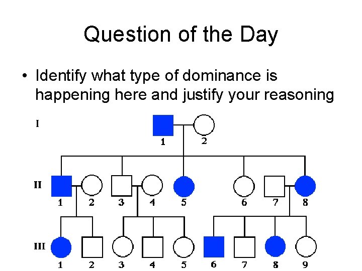 Question of the Day • Identify what type of dominance is happening here and