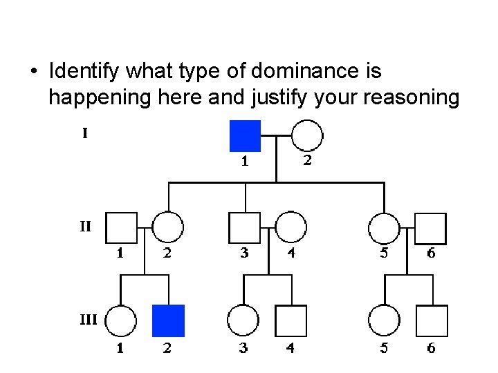  • Identify what type of dominance is happening here and justify your reasoning
