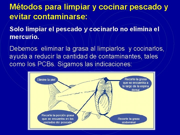 Métodos para limpiar y cocinar pescado y evitar contaminarse: Solo limpiar el pescado y