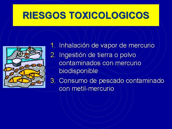 RIESGOS TOXICOLOGICOS 1. Inhalación de vapor de mercurio 2. Ingestión de tierra o polvo