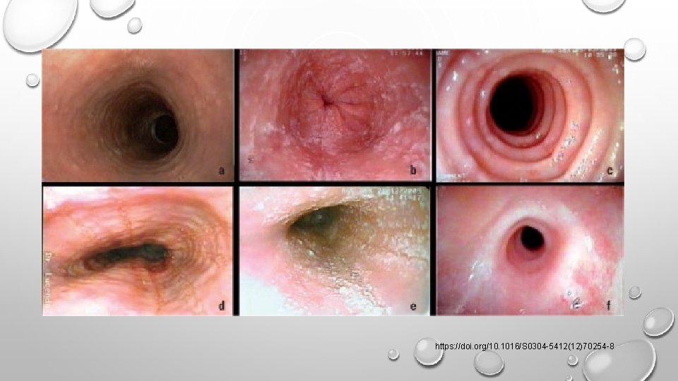 https: //doi. org/10. 1016/S 0304 -5412(12)70254 -8 