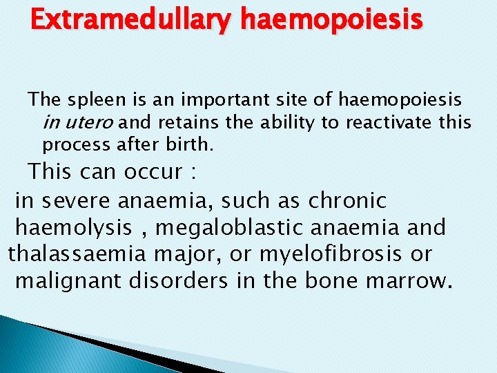 Extramedullary haemopoiesis The spleen is an important site of haemopoiesis in utero and retains Extramedullary haemopoiesis The spleen is an important site of haemopoiesis in utero and retains
