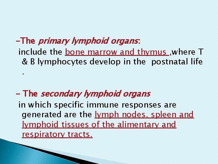 -The primary lymphoid organs: include the bone marrow and thymus , where T & -The primary lymphoid organs: include the bone marrow and thymus , where T &