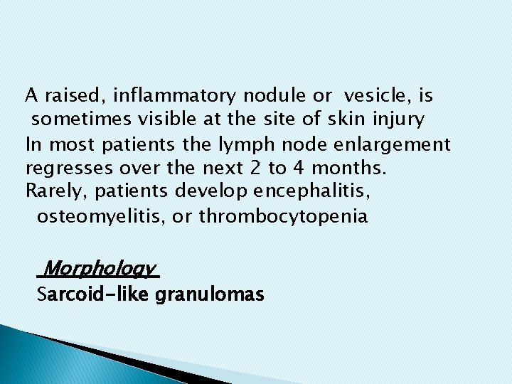 A raised, inflammatory nodule or vesicle, is sometimes visible at the site of skin A raised, inflammatory nodule or vesicle, is sometimes visible at the site of skin