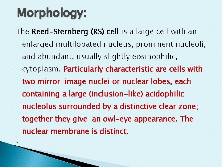 Morphology: The Reed-Sternberg (RS) cell is a large cell with an enlarged multilobated nucleus, Morphology: The Reed-Sternberg (RS) cell is a large cell with an enlarged multilobated nucleus,