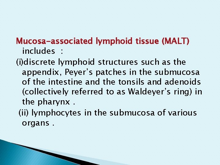 Mucosa-associated lymphoid tissue (MALT) includes : (i)discrete lymphoid structures such as the appendix, Peyer’s Mucosa-associated lymphoid tissue (MALT) includes : (i)discrete lymphoid structures such as the appendix, Peyer’s