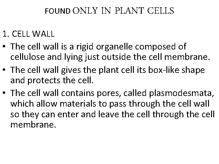 FOUND ONLY IN PLANT CELLS 1. CELL WALL • The cell wall is a