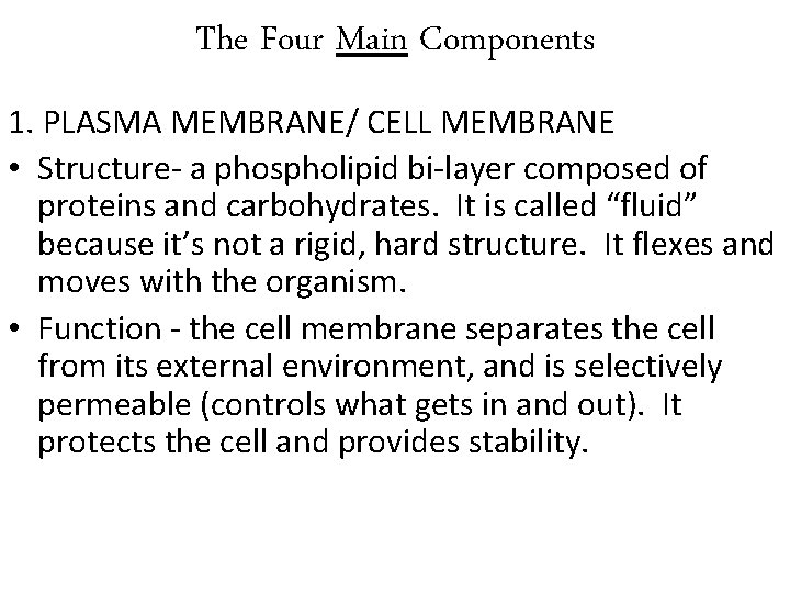 The Four Main Components 1. PLASMA MEMBRANE/ CELL MEMBRANE • Structure- a phospholipid bi-layer