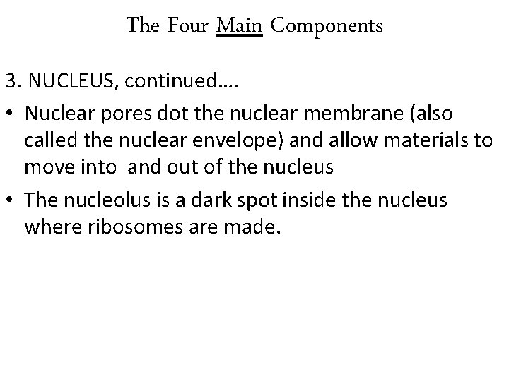 The Four Main Components 3. NUCLEUS, continued…. • Nuclear pores dot the nuclear membrane