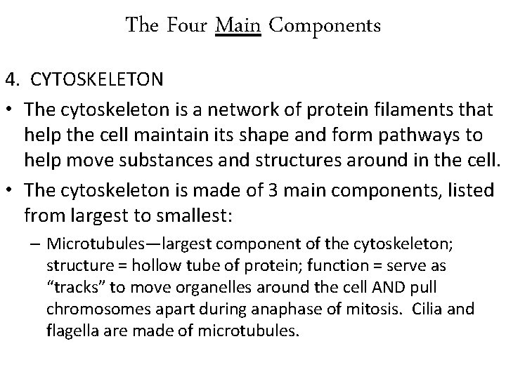 The Four Main Components 4. CYTOSKELETON • The cytoskeleton is a network of protein