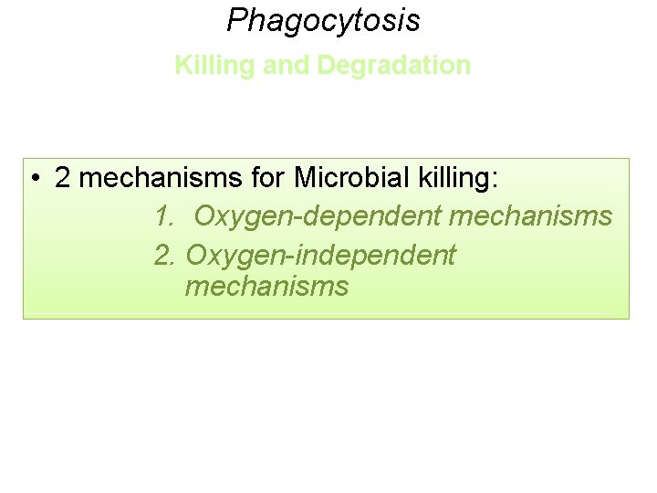 Phagocytosis Killing and Degradation • 2 mechanisms for Microbial killing: 1. Oxygen-dependent mechanisms 2.