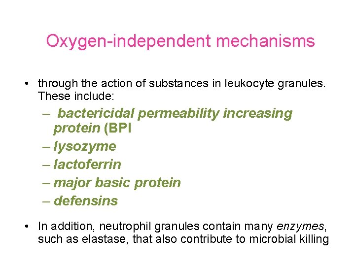 Oxygen-independent mechanisms • through the action of substances in leukocyte granules. These include: –