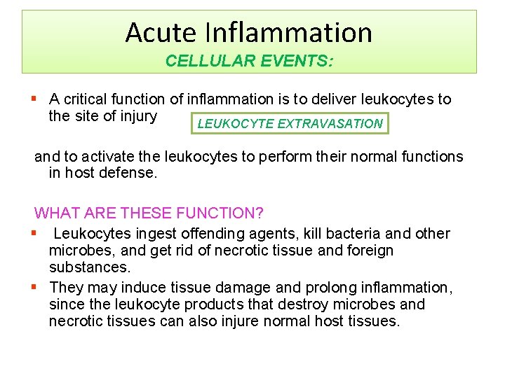 Acute Inflammation CELLULAR EVENTS: § A critical function of inflammation is to deliver leukocytes
