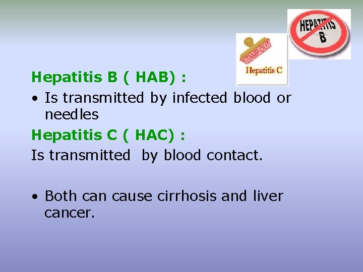Hepatitis B ( HAB) : • Is transmitted by infected blood or needles Hepatitis