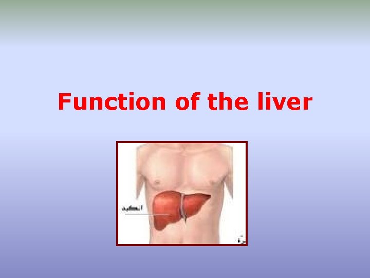 Function of the liver 