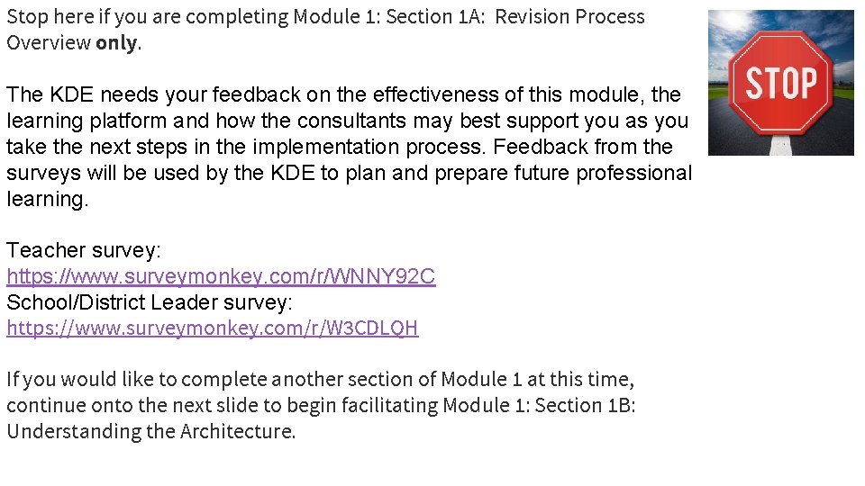 Stop here if you are completing Module 1: Section 1 A: Revision Process Overview