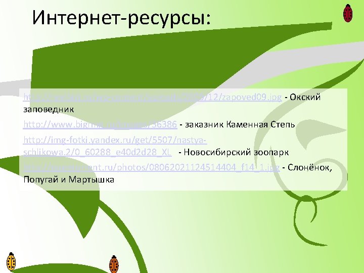 Интернет-ресурсы: http: //realbizi. ru/wp-content/uploads/2009/12/zapoved 09. jpg - Окский заповедник http: //www. bigring. ru/images/36386 -