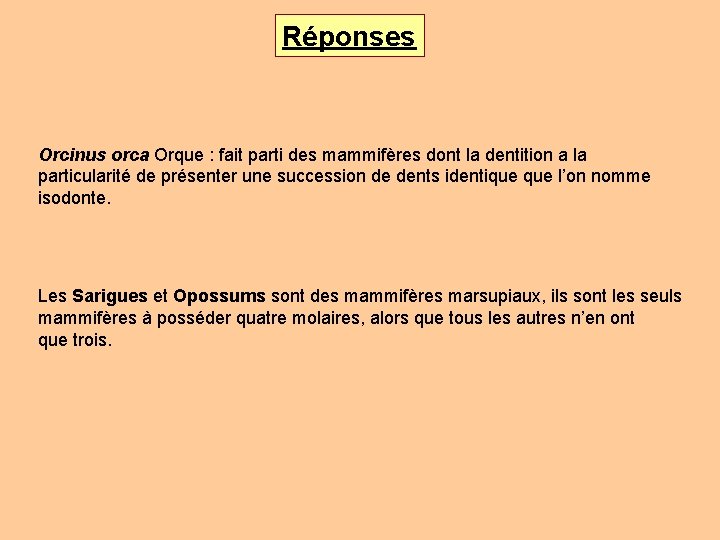 Réponses Orcinus orca Orque : fait parti des mammifères dont la dentition a la